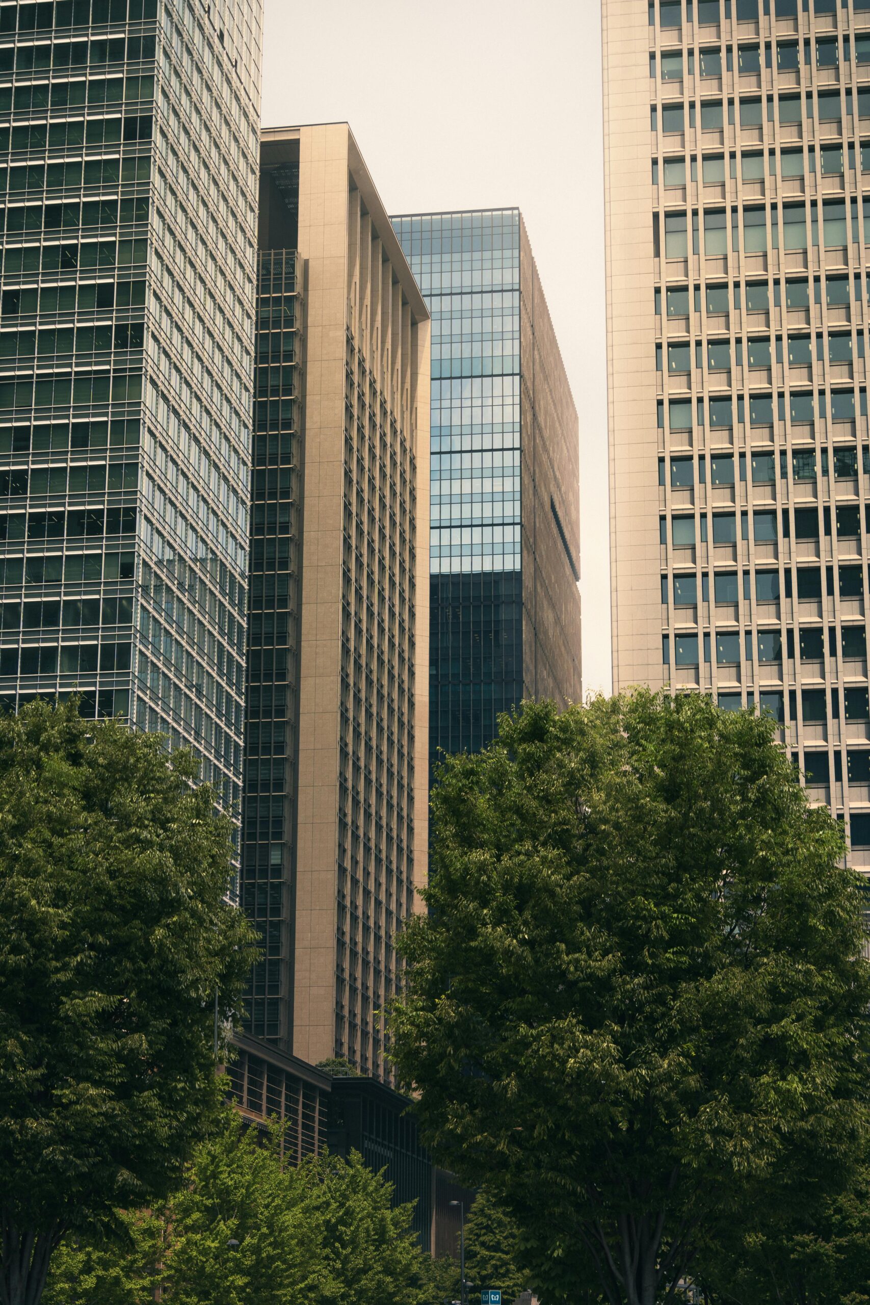 Joe Meta Zielgenau TV Büro